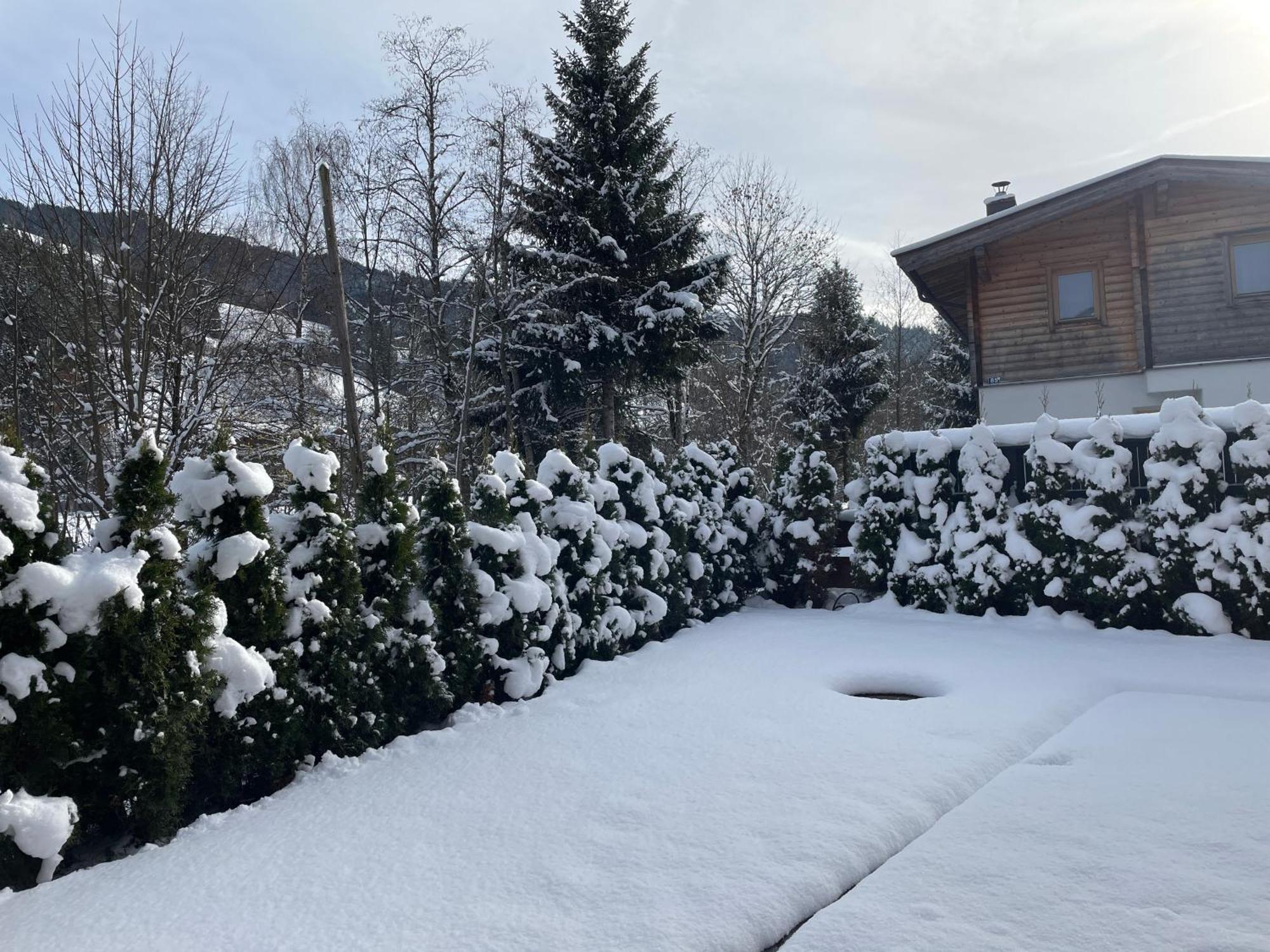 Garten Suite Kirchberg By Alpine Host Helpers 蒂罗尔-基希贝格 外观 照片